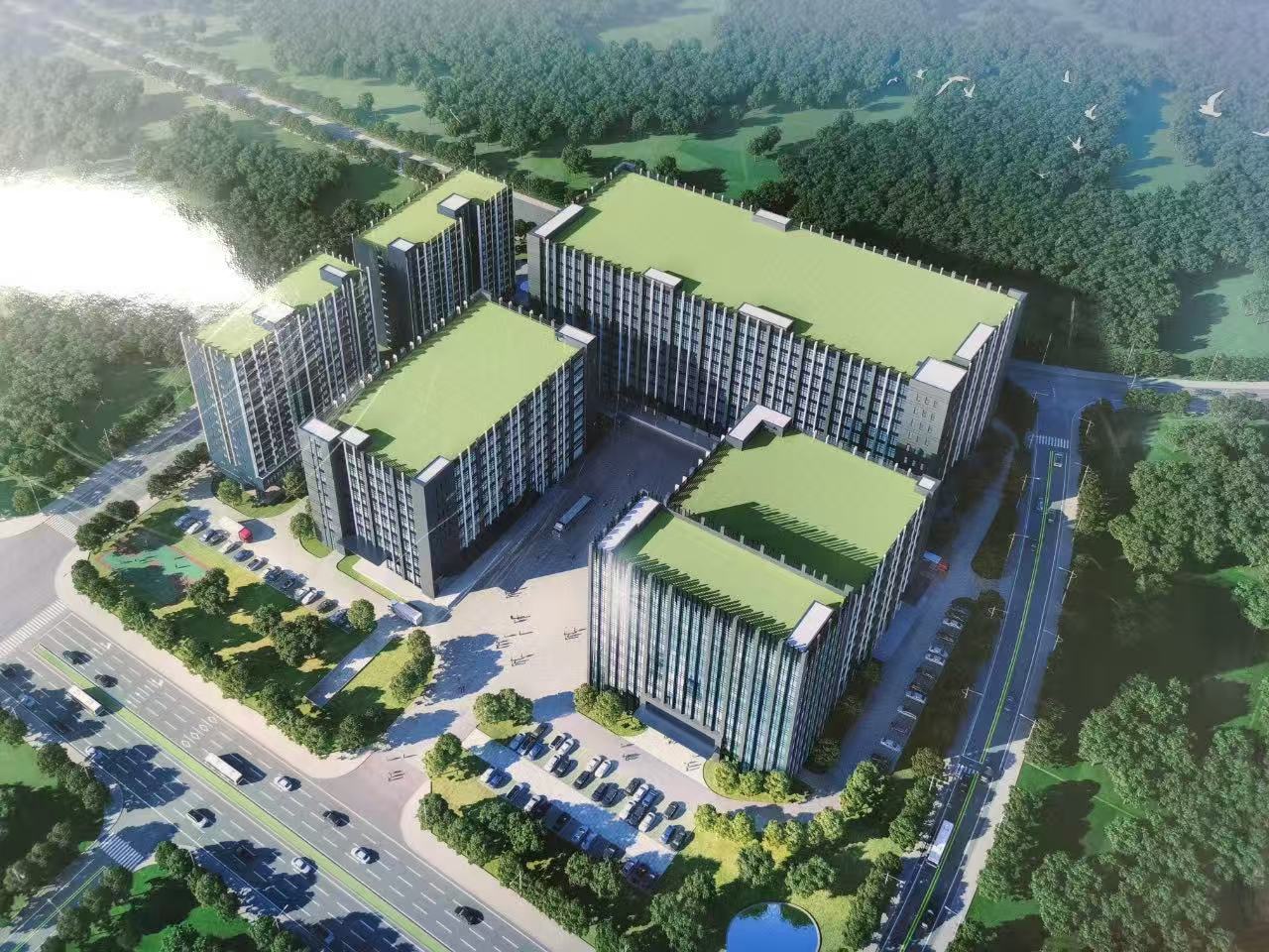 1761989628977909.jpg 1.jpg